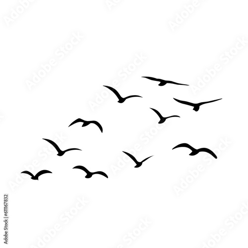 Silhouette of flying birds
