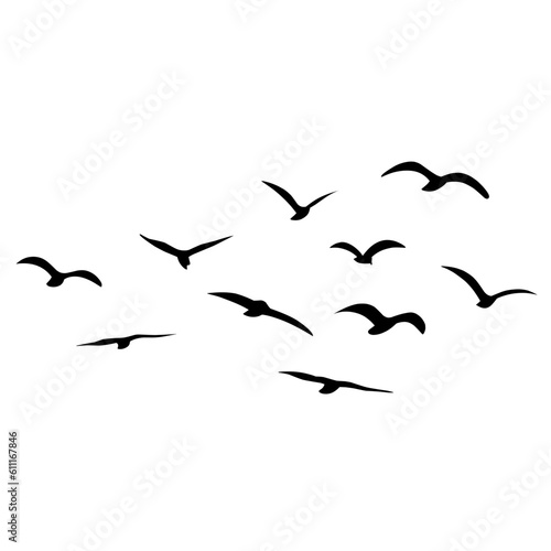 Silhouette of flying birds