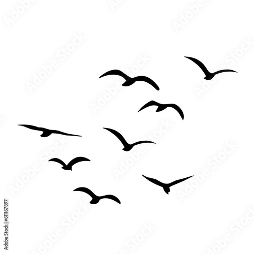 Silhouette of flying birds