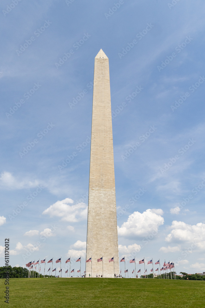American flags surrounding the Washington Monument