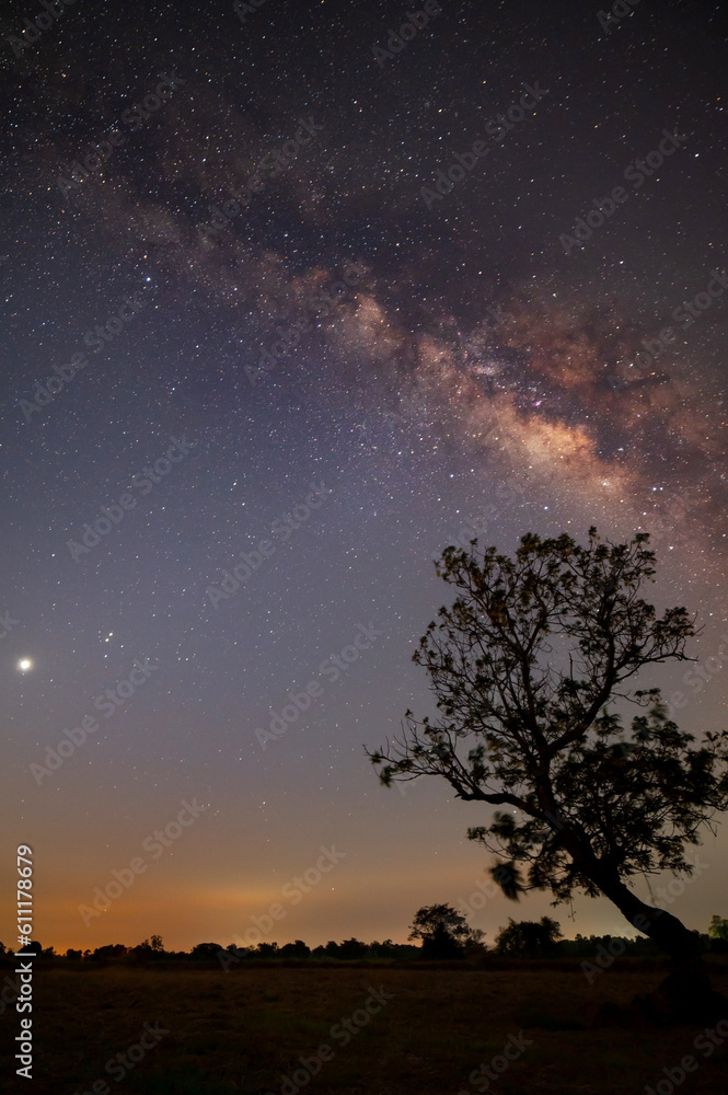 Vertical Milky way with stars,silhouette tree in africa with sunrise.Tree silhouetted against a setting sun.Dark tree on open rice field dramatic night Blue sky.