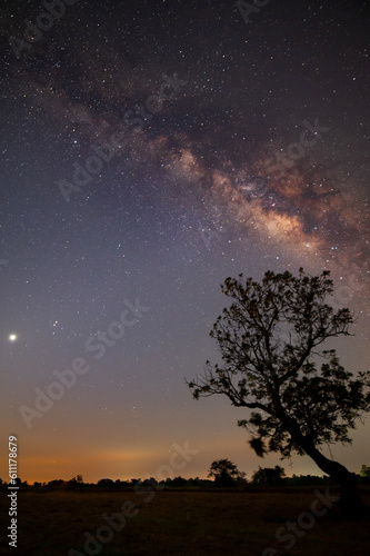 Vertical Milky way with stars,silhouette tree in africa with sunrise.Tree silhouetted against a setting sun.Dark tree on open rice field dramatic night Blue sky.