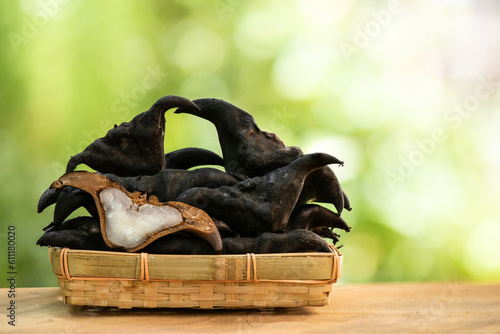 Schilderij op canvas Ripe water caltrops or trapa bispinosa pods on nature background.