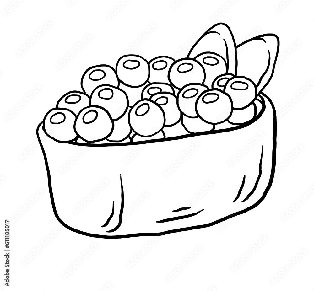 hand drawn nigiri sushi illustration hand drawn nigiri sushi illustration