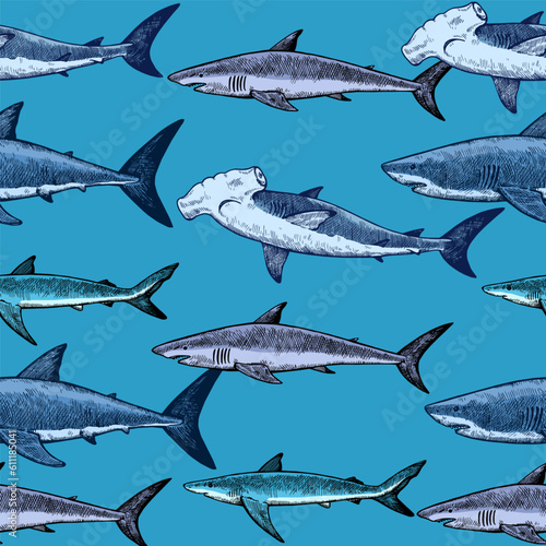 Seamless pattern with various sharks, great white shark, hammerhead shark and other. Vector illustration in engraving style.