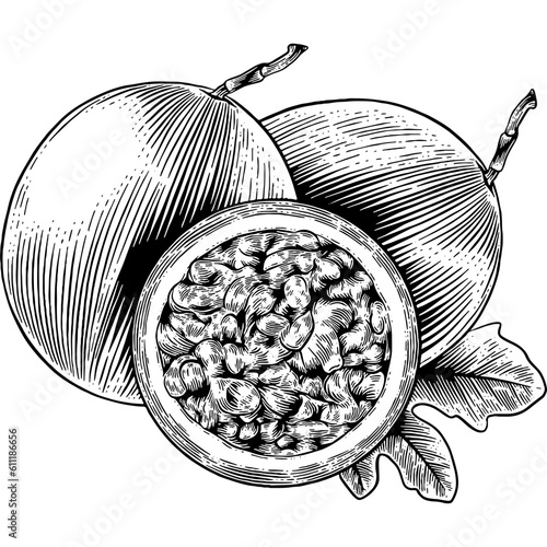 Hand drawn Passion Fruit with Leaf Sketch Illustration