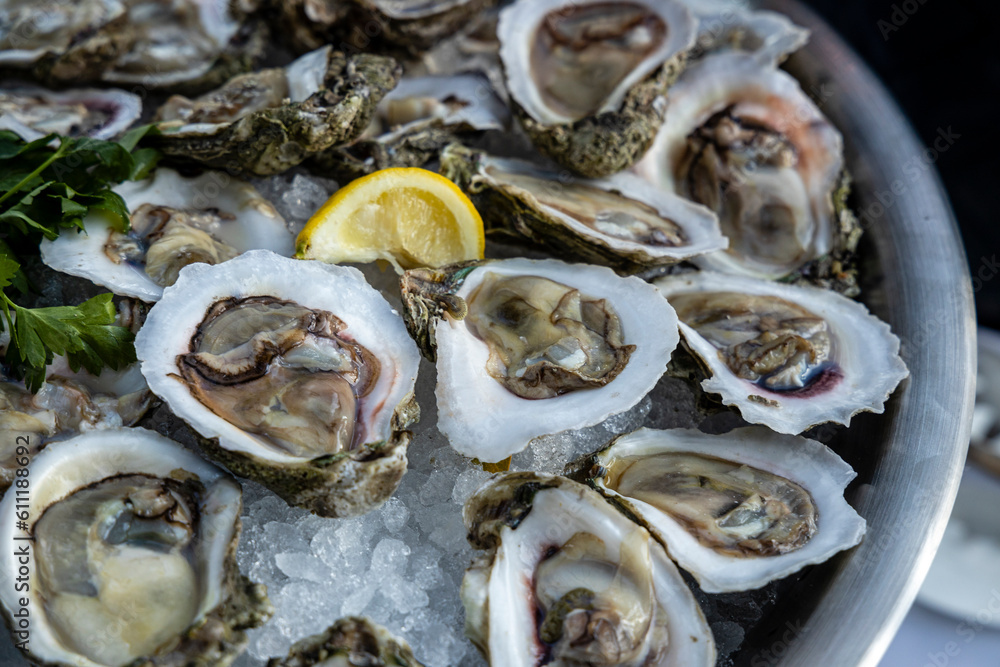 A tray of oysters on the half shell served at a buffet. A tray of oysters on the half shell served at a buffet.
