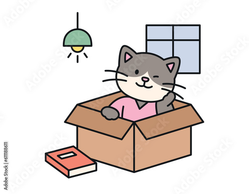 Cute cat. The cat in the box is sitting with a cozy and comfortable expression.