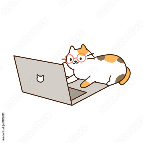 Cute cat. A tricolor cat wearing glasses is working on a computer.