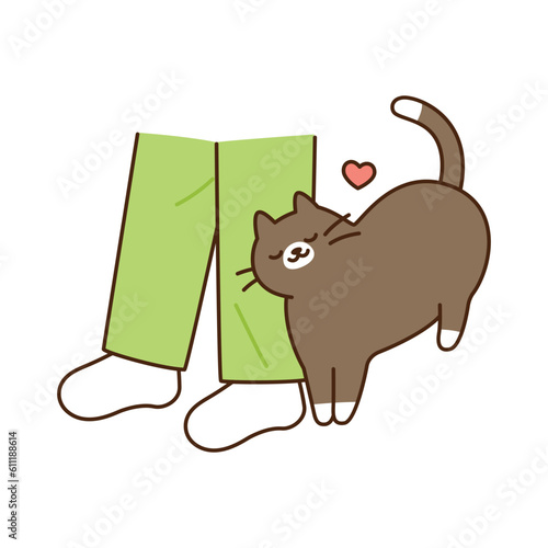 Cute cat. A black and chubby cat is showing off its charms by rubbing a person's leg.