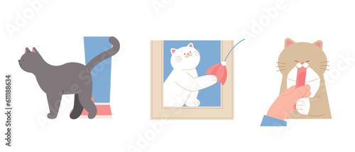 Cute cat. Cats rubbing against people's legs, acting cute, playing with fishing rods, and eating snacks.