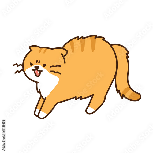 Cute cat. A yellow cheese tabby cat is frightened, raising its fur up.