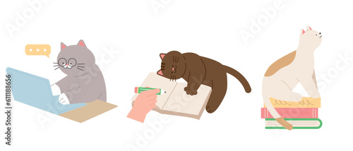 Cute cat. Cats sitting on books, interrupting work and study.