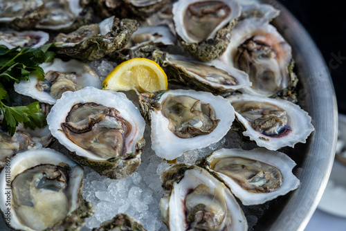 A tray of oysters on the half shell served at a buffet.