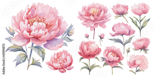 watercolor pink peony clipart for graphic resources Fototapeta
