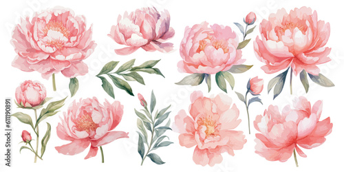 watercolor pink peony clipart for graphic resources