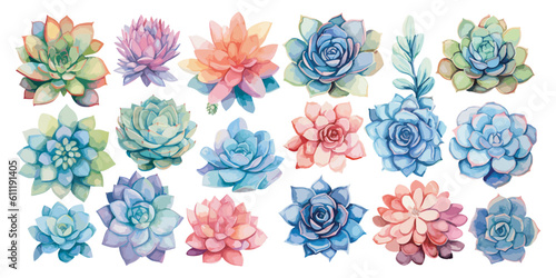 watercolor succulent clipart for graphic resources