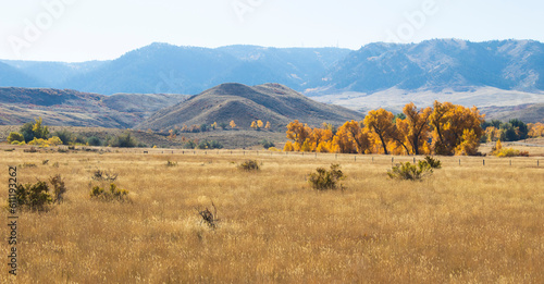 Quadro su tela Fall in Capser, Wyoming