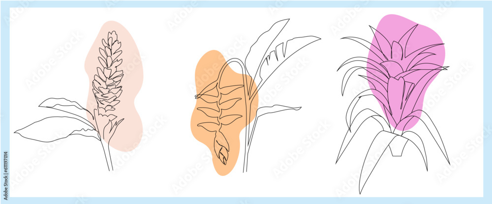 Tropical Plants  - Line Drawing
