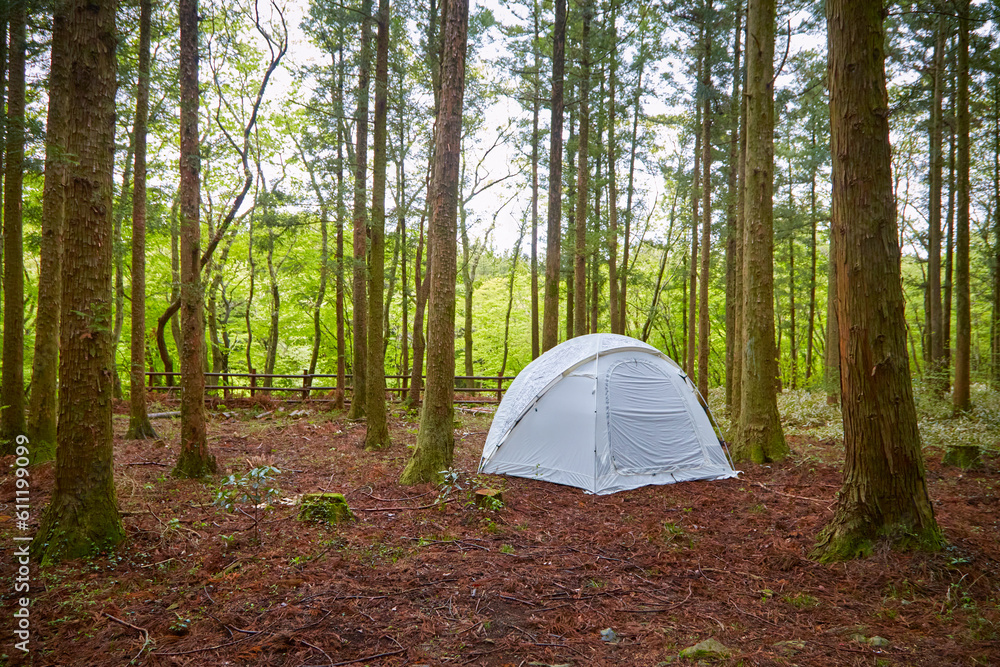 숲속의 흰색 텐트가 있는 풍경