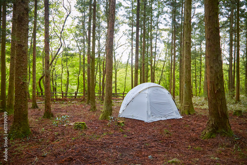 숲속의 흰색 텐트가 있는 풍경