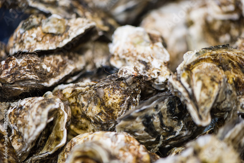 fresh oysters for sale at the seafood market.