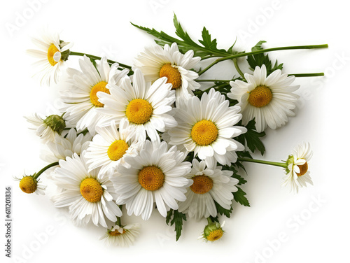 Bouquet of daisies flowers closeup on white