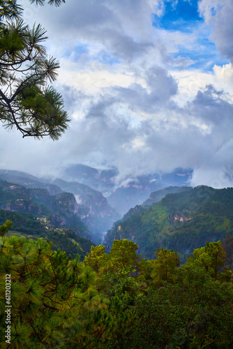 beautiful canyon with mist and amazing clouds, forest in summer, mexiquillo durango 