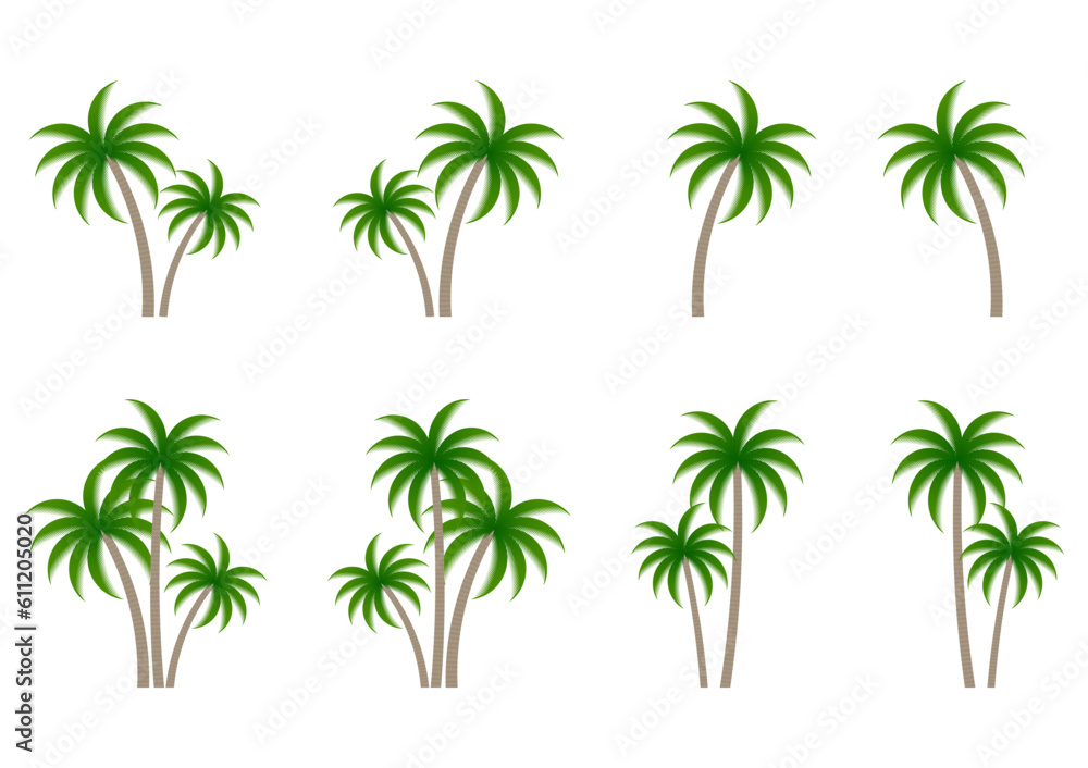 Coconut Tree or Palm Tree Vector Illustration Isolated on White Background. Coconut Tree or Palm Tree Vector Illustration Isolated on White Background.
