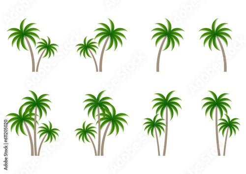 Coconut Tree or  Palm Tree Vector Illustration Isolated on White Background.
