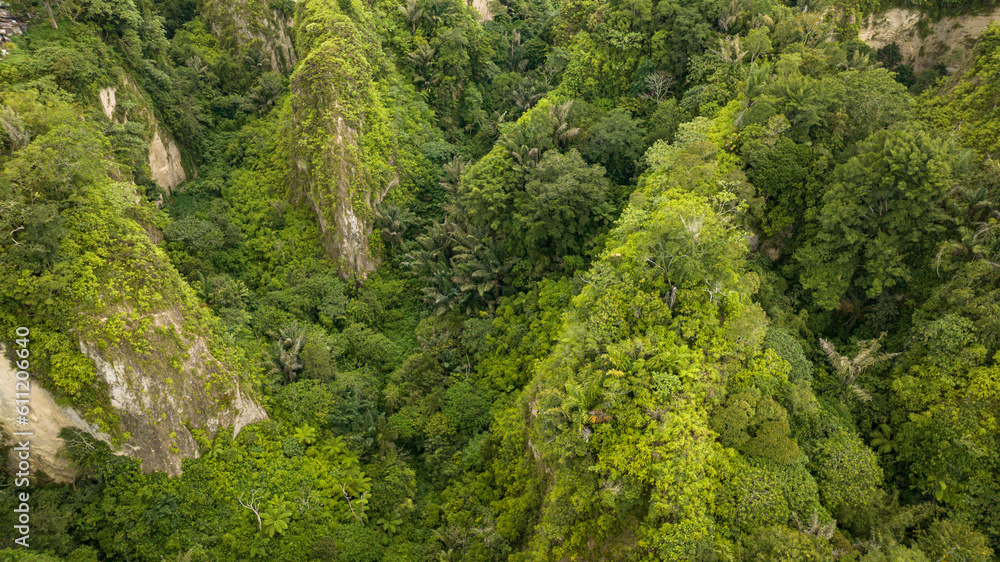 Mountain canyon with rainforest and jungle. Ngarai Sianok. Bukittinggi, Sumatra, Indonesia. Mountain canyon with rainforest and jungle. Ngarai Sianok. Bukittinggi, Sumatra, Indonesia.