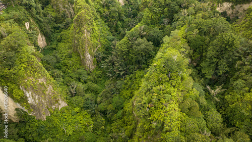 Mountain canyon with rainforest and jungle. Ngarai Sianok. Bukittinggi  Sumatra  Indonesia.