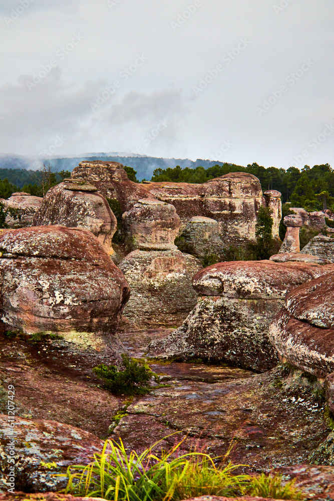 volcanic landscape in cloudy day, stones garden in mexiquillo durango at summer