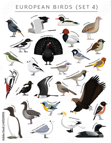 European Birds Set Cartoon Vector Character 4