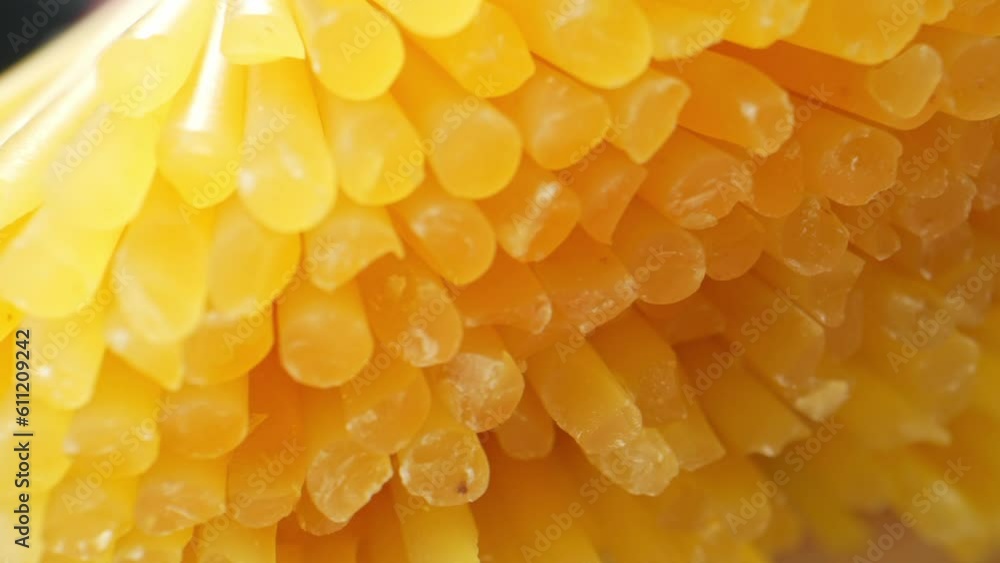 The macro lens unveils the raw spaghetti's intricate details, from the fine ridges that run along its length to the light translucency. Raw material and food concept. Spaghetti background. 4K
The macro lens unveils the raw spaghetti's intricate details, from the fine ridges that run along its length to the light translucency. Raw material and food concept. Spaghetti background. 4K