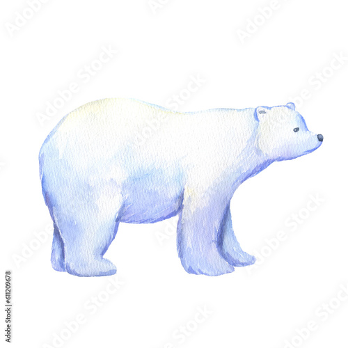 Adult polar bear. Watercolor hand drawn illustration isolated on white. North animal.