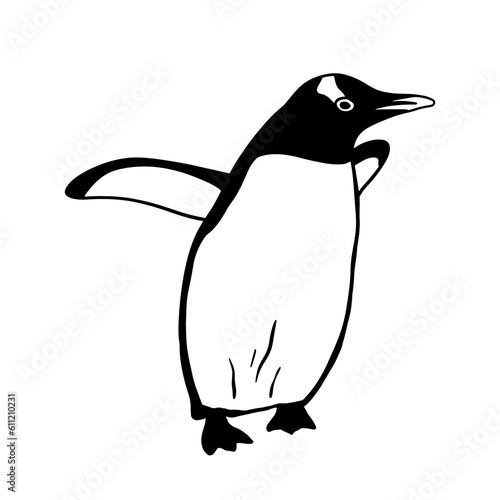 Cute Northern Penguin. Monochrome vector illustration. Realistic polar animal