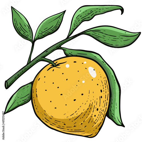 Whole lemon on branch with leaves in sketch art