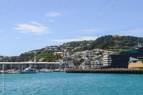 Hills Over Wellington © RacheleB