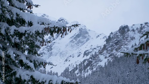 Beautiful winter landscape view of snow covered Pietrosul Rodnei in Northern Romania. Mountain climbing in frigid snowy conditions. View through trees looking up. Pan left.  photo