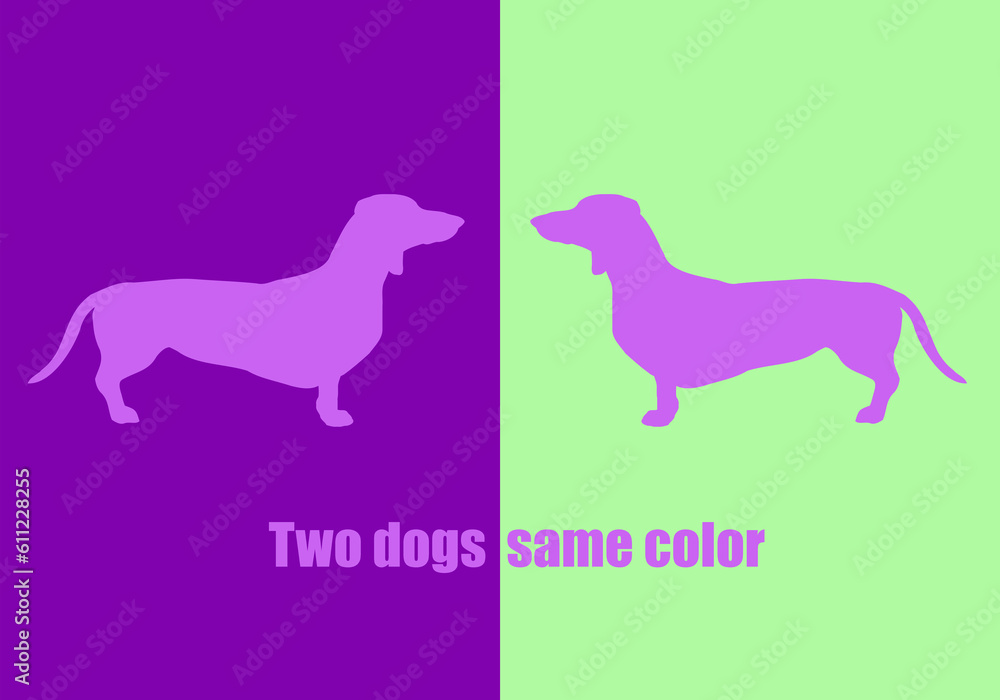 Optical illusion: both dogs have the same color. Illustration
