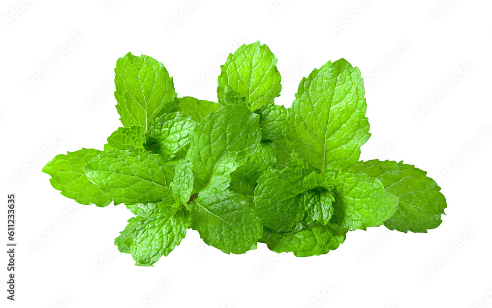 mint leaf isolated on transparent png mint leaf isolated on transparent png