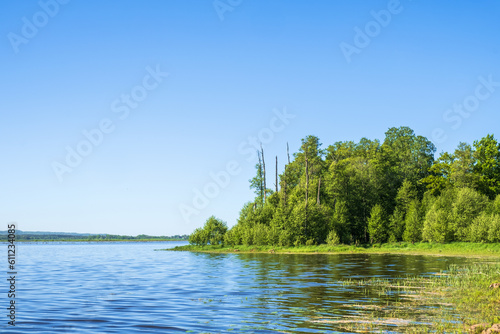 Fotografija Lakeshore with a deciduous forest in sunshine