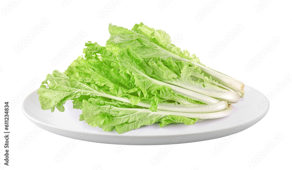 lettuce leaves in a plate isolated on transparent png lettuce leaves in a plate isolated on transparent png
