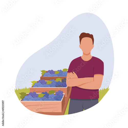Process of growing organic grapes to make alcohol drinks. Male character stands near boxes of blue grapes. Ripe berries for processing. Generous harvest in vineyard
