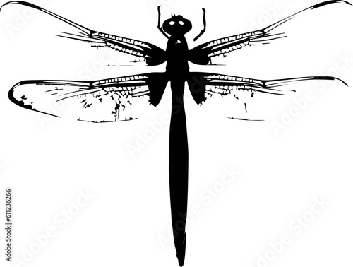 Dragon fly animal images
