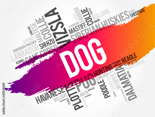 List of most popular dog breeds word cloud collage, animal concept background