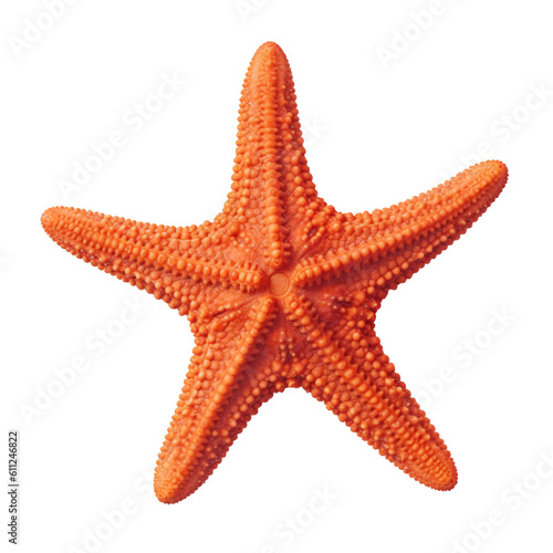 Starfish isolated on transparent or white background, png