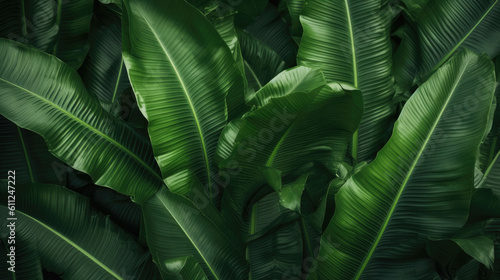 Tropical banana leaf texture in garden, abstract green leaf, large palm foliage nature dark green background, Generative AI