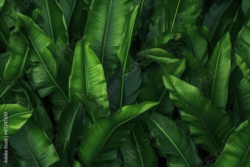 Tropical banana leaf texture, large palm foliage nature dark green background, Generative AI